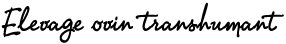 elevage ovin transhumant
